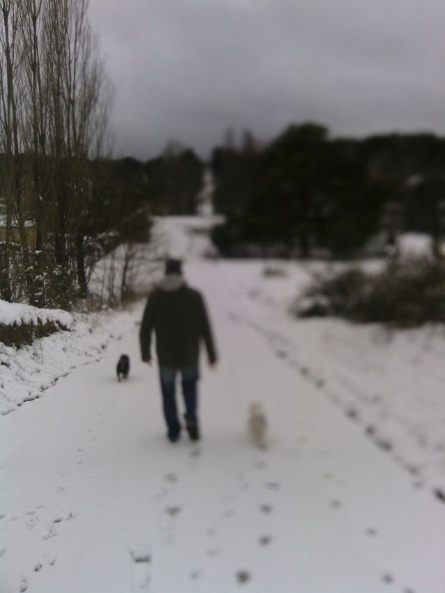 walk in the snow